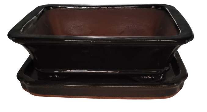 20 x 15 x 7 cm - Glazed Bonsai Pot with Matching Tray - Darkest Brown