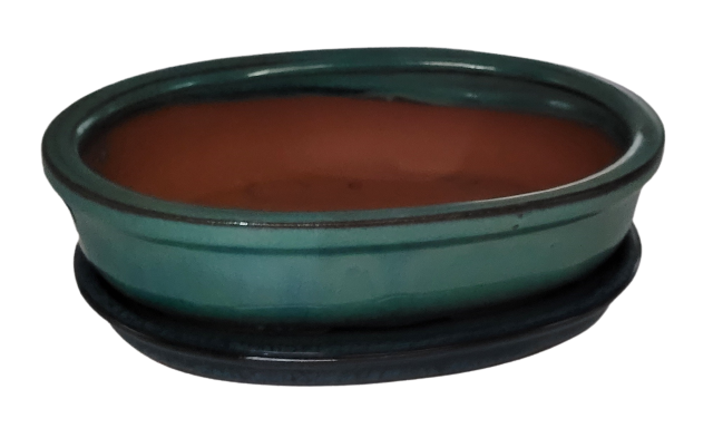 20 x 15 x 7 cm - Glazed Bonsai Pot with Matching Tray - Green