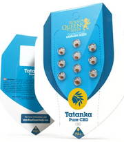 Royal Queen Seeds - Tatanka Pure CBD - Cannabis Breeders Pack - CBD Cannabis Seeds