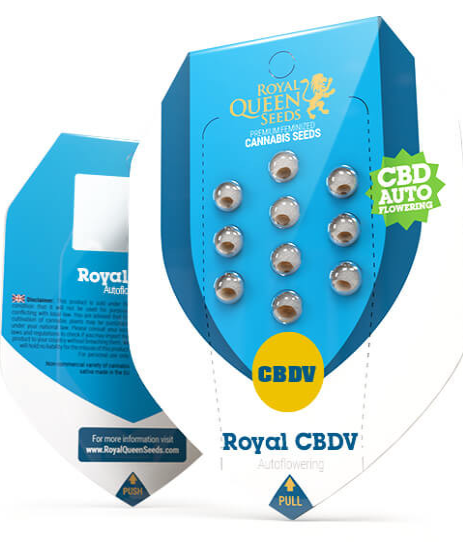 Royal Queen Seeds - Royal CBDV Automatic - Cannabis Breeders Pack - CBD Cannabis Seeds