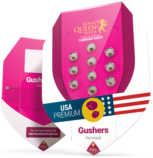 Royal Queen Seeds - Gushers - Cannabis Breeders Pack - Feminized Cannabis Seeds