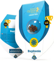 Royal Queen Seeds - Euphoria - Cannabis Breeders Pack - CBD Cannabis Seeds