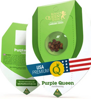 Royal Queen Seeds - Purple Queen Auto - Cannabis Breeders Pack - Autoflowering Cannabis Seeds