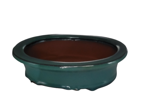 25 x 19 x 7 cm - Glazed Bonsai Pot - Green