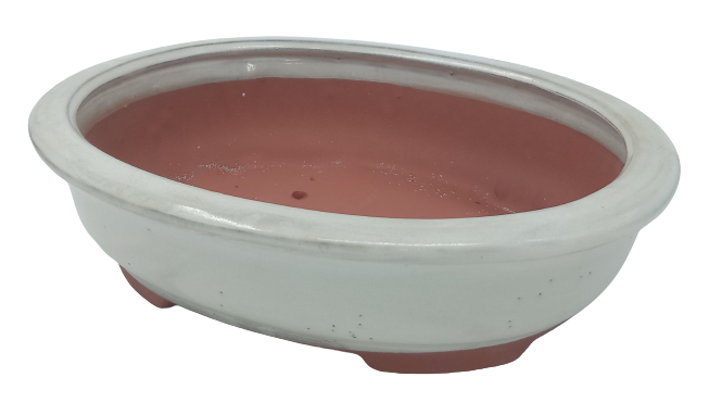 30 x 26 x 8 cm - Glazed Bonsai Pot - Cream