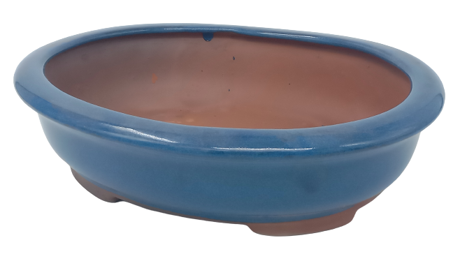30 x 26 x 8 cm - Glazed Bonsai Pot - Midnight blue
