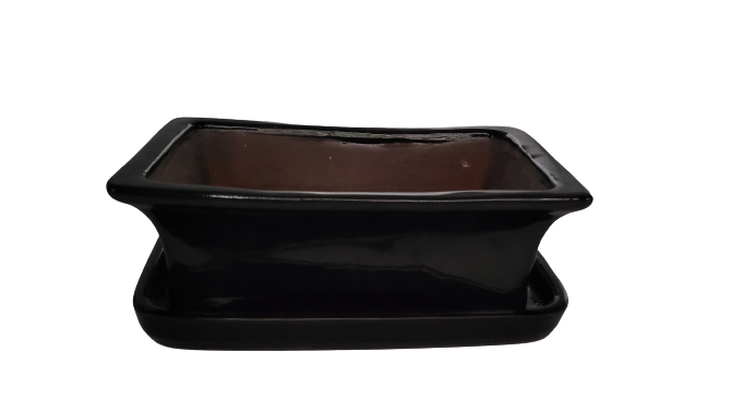 20 x 15 x 7 cm - Glazed Bonsai Pot with Matching Tray - Black