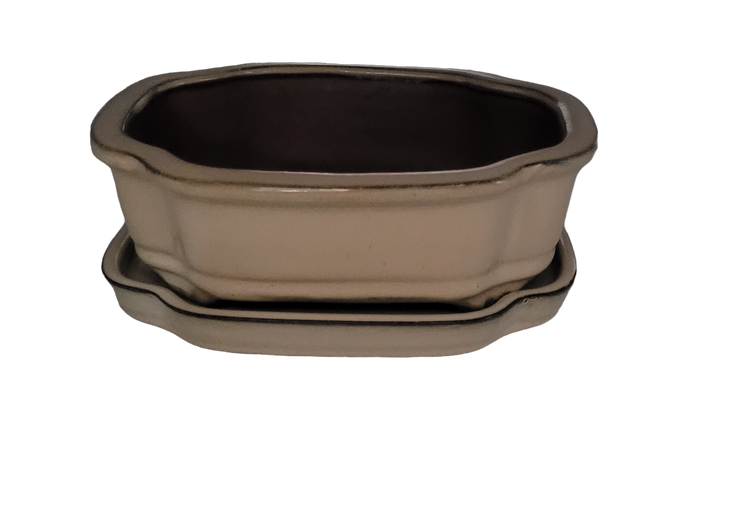 20 x 15 x 7 cm - Glazed Bonsai Pot with Matching Tray - Cream
