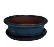 20 x 15 x 7 cm - Glazed Bonsai Pot with Matching Tray - Aqua Blue