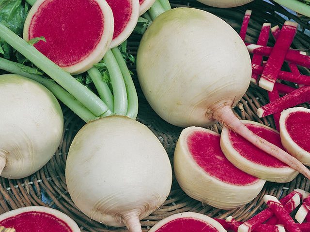Watermelon Radish - Bulk Vegetable Seeds - 50 grams
