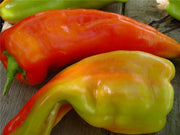 Giant Aconcagua Sweet Pepper - Capsicum Annuum - 5 Seeds