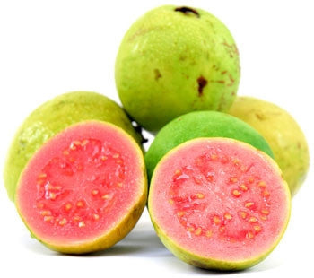Guava Fruit Tree - Psidium Guajava - Red Fleshed Guava - 5 Seeds