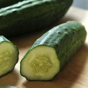 Patio Snacker Cucumber - Cucumis Sativus - 5 Seeds