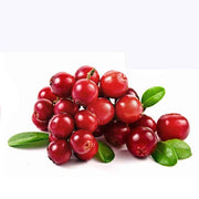 American Cranberry - Vaccinium Macrocarpon - 10 Seeds - Fruit Tree - Exotic Fruit
