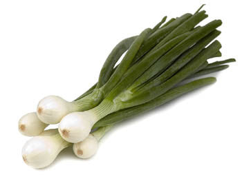 Crystal White Wax Pickling Onion - Heirloom Vegetable - 20 Seeds