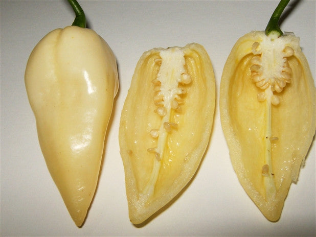 White Bhut Jolokia - Ghost Pepper - Chilli Pepper - Capsicum Chinense - Extremely Hot - 5 Seeds