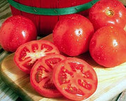Rutgers Tomato - Solanum lycopersicon - Heirloom Vegetable - 50 Seeds