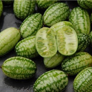 Mouse Melon - Cucamelon - Miniature Watermelon - Rare Fruit Vine - Melothria scabra - Bulk 100 Seeds