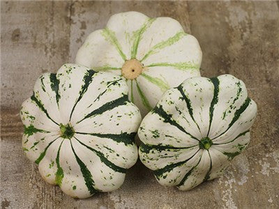 Jaune et Verte Scalloped Squash Patty Pan - Cucurbita Pepo - Heirloom Vegetable - 10 Seeds