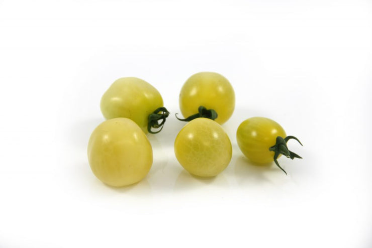 White Cherry Tomato - Vegetable - Lycopersicon esculentum - 5 Seeds