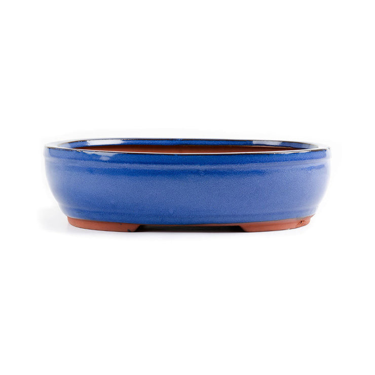 30 x 24 x 8cm - Glazed Bonsai Container - Blue