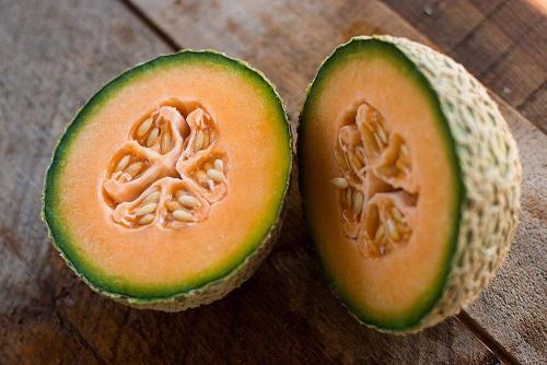 Honey Rock Melon  - Heirloom Vegetable / Fruit - Cucumis melo - 10 Seeds