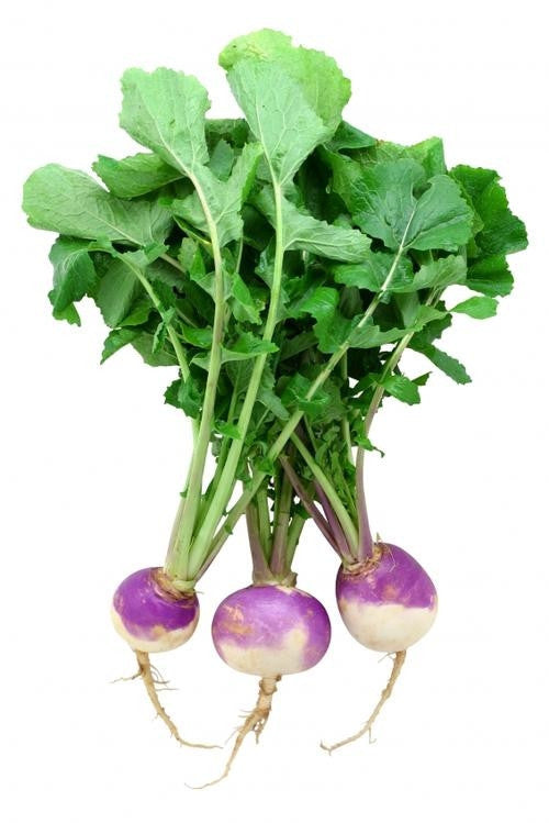 Early Purple Top Turnip - Brassica Campestris - 200 Seeds
