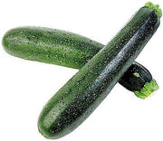 Baby Marrow - Caserta Squash - Cucurbita Pepo - 30 Seeds