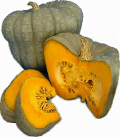 Queensland Blue Pumpkin - Vegetable - Cucurbita Maxima - 5 Seeds