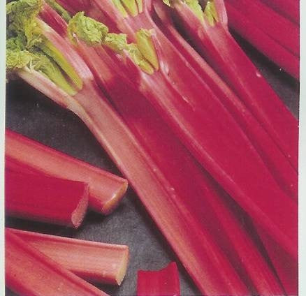 Victoria Rhubarb - Rheum Rhabarbum - Vegetable - 25 Seeds