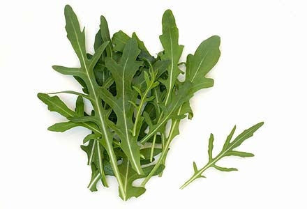 Rocket - Eruca Sativa - Culinary Edible Herb - 100 Seeds