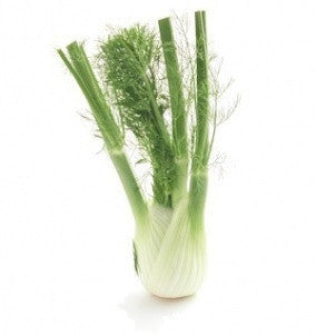Sweet Florence Fennel - Foeniculum Vulgare - Culinary Edible Herb - 200 Seeds