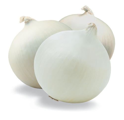 White Creole Onion - Allium Cepa - Vegetable - 100 Seeds