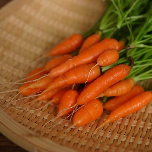 Sweetheart Baby Carrots - Daucus Carrota - Vegetable - 300 Seeds