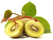 Kiwi Fruit - Actinidia chinensis - Exotic Shrub - 10 Seeds