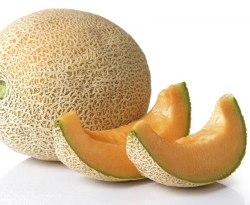 Hales Best Jumbo Melon / Cantaloupe - ORGANIC - Heirloom Vegetable / Fruit - 20 Seeds