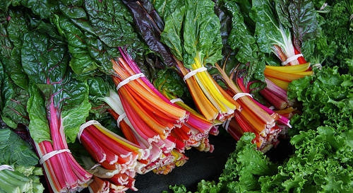 Rainbow Spinach - ORGANIC - Heirloom Vegetable - 25 Seeds