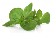 Marjoram - ORGANIC - Herb - 100 Seeds