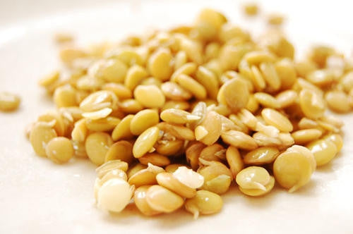 Brown Lentils - ORGANIC - Sprouting Seeds