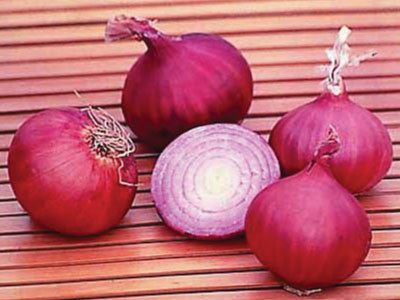 Red Creole Onion - Bulk Vegetable Seeds - 50 grams