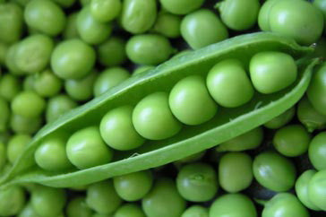 Greenfeast Peas - Bulk Vegetable Seeds