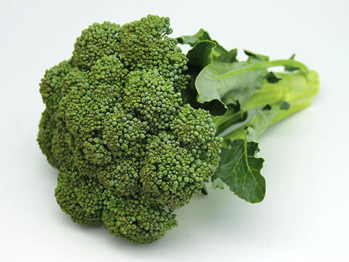 Calabrese Broccoli - Bulk Vegetable Seeds