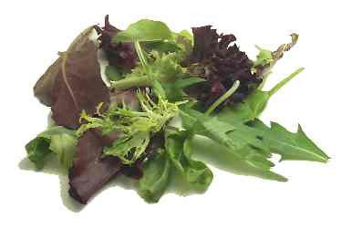 Mesclun Salad Lettuce - ORGANIC - Bulk Vegetable Seeds - 5 grams