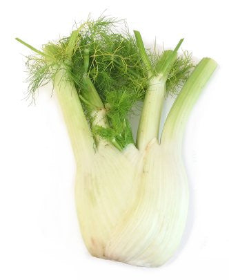 Sweet Florence Fennel - ORGANIC - Herb - 50 Seeds