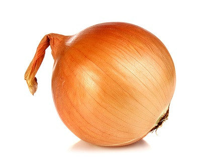 Texas Grano Onion - ORGANIC - Heirloom Vegetable - 50 Seeds
