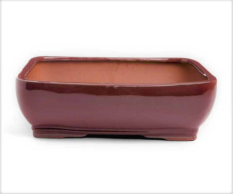 29 x 24 x 9cm - Glazed Bonsai Container - Oxblood