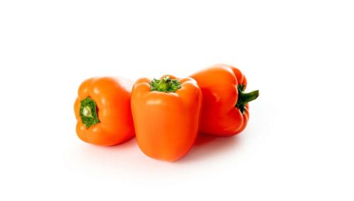 Tinkerbell® baby block sweet pepper orange F1  - Vegetable - Capsicum annuum - 5 Seeds