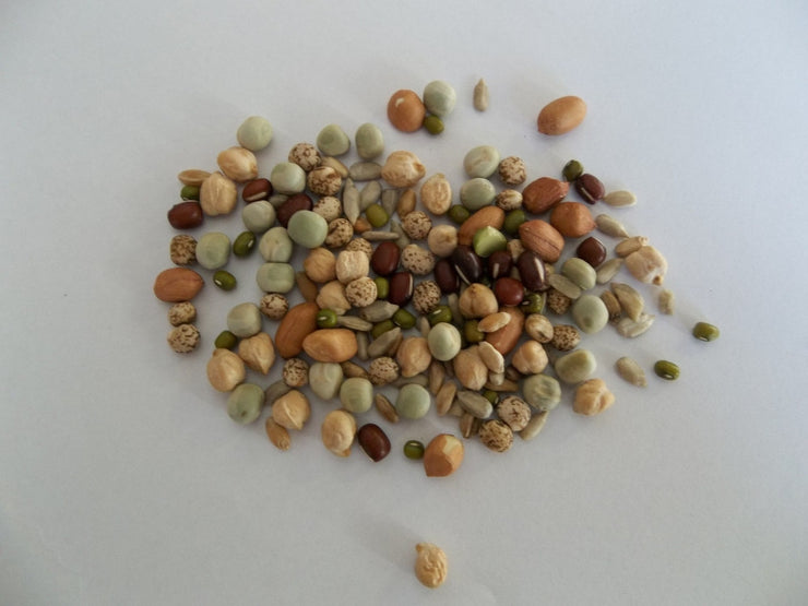 Chunky Salad Mix - Sprouting Seeds