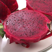 Purple Skin Dragon Fruit / Pitaya "Bloody Mary" - Hylocereus polyrhizus - Exotic Cactus Vine Fruit - 10 Seeds