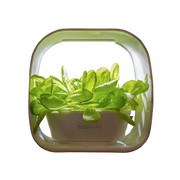 PLANT!T Hydroponic Herb Garden - White